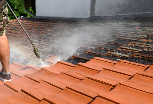Best House Pressure Washing  in Nroe City, MO